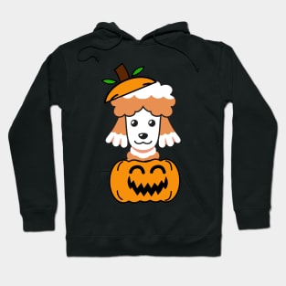 Funny poodle is in a pumpkin Hoodie